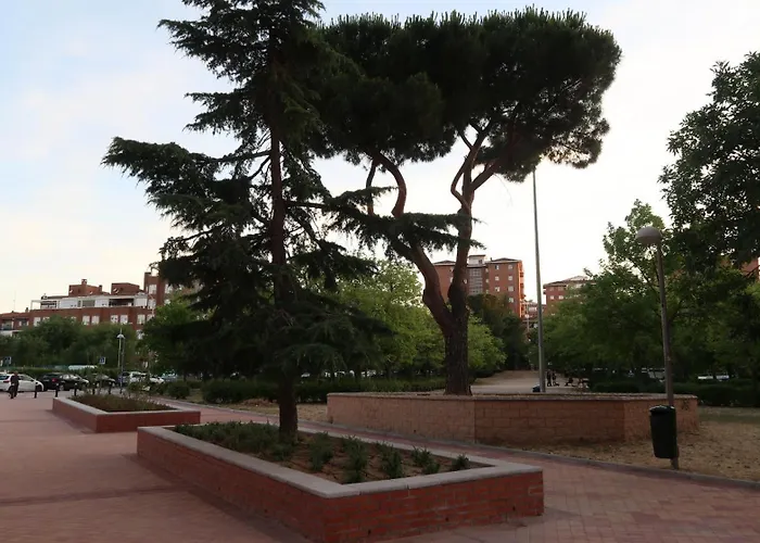 Ama Madrid Metropolitano 17