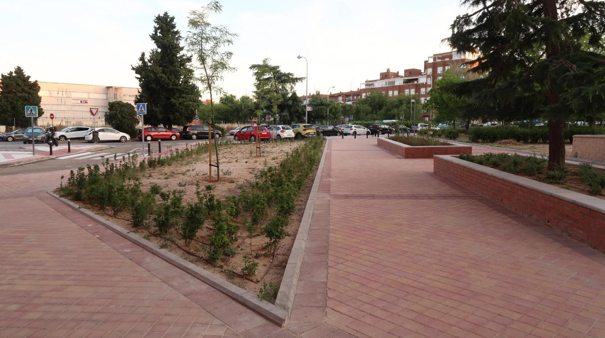 Apartament Ama Metropolitano 17 *